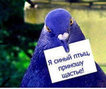 Фото админFast