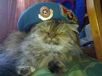 Фото Андрей Мартинович