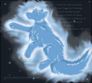 Фото Шайнинг Армор