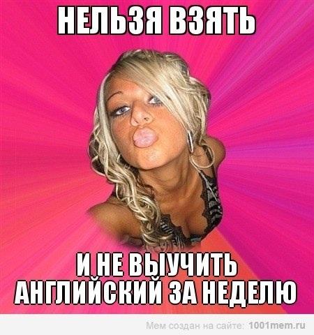 Фото Ночной жеребец