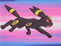 Фото Лиза Пучкова