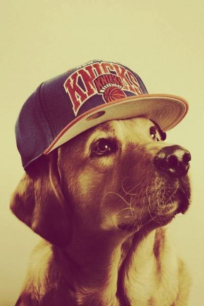 Фото Сергей Семенов