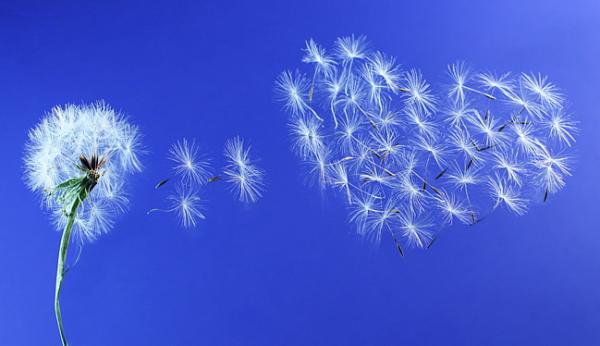 Фото Валя Эндер