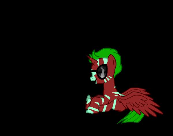 Фото Вагаровский Андрей: pony 1