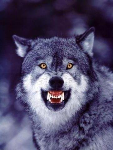 Фото zzzigorekzzz1