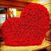 Фото Виктория Андреади