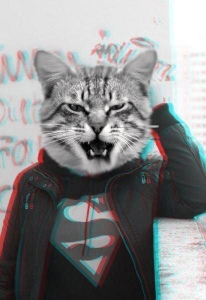 Фото Руслан Вешкин