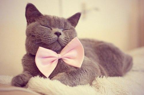 Фото Лина Павлушева