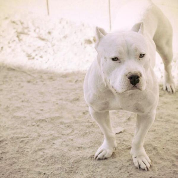 Фото Колян Адамчук