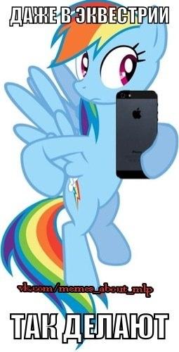 Фото Дмитрий Бронин