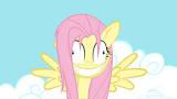 Фото Fluttershy