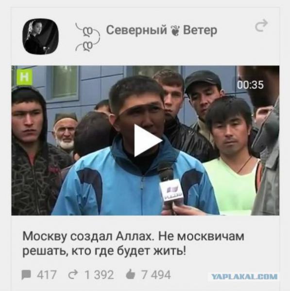 Фото СУНЬ СУНГ Фото СУНЬ СУНГ