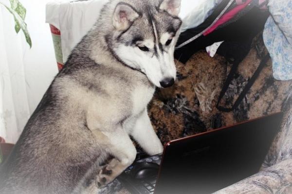 Фото Евгения Тарасова