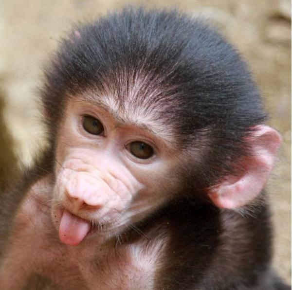 Фото Irene Terzi