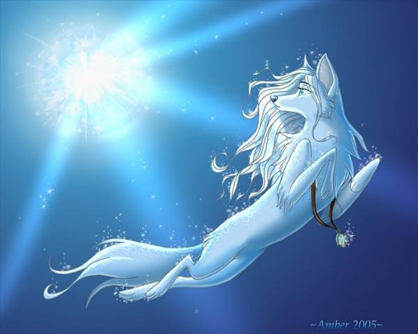 Фото Настя Шумайлова