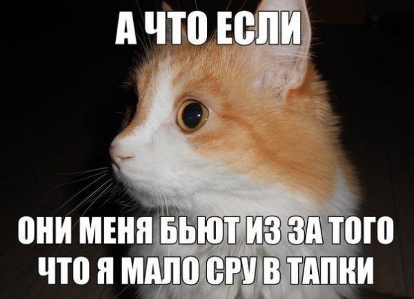 Фото Кирилл Кириллов Фото Кирилл Кириллов