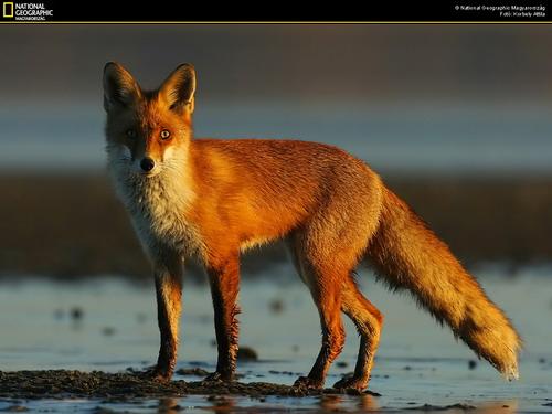 Фото Мария Князькина