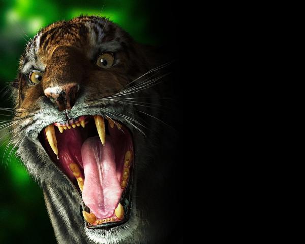 Фото Володя Ткаченко