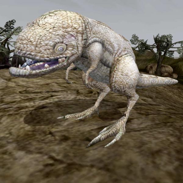 Фото Я_Гуар