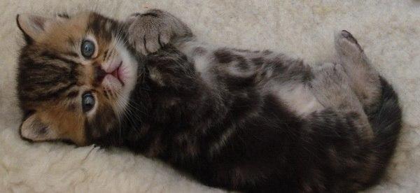 Фото Таня Преснякова