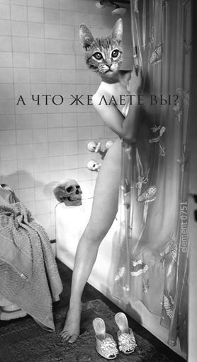 Фото Дэвисовна Фото Дэвисовна