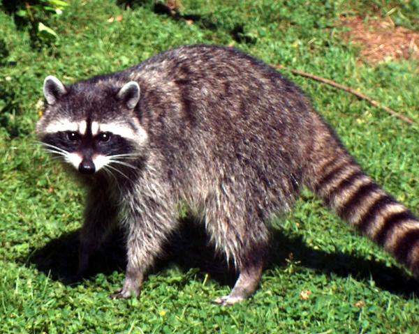 Фото Артём Ребров