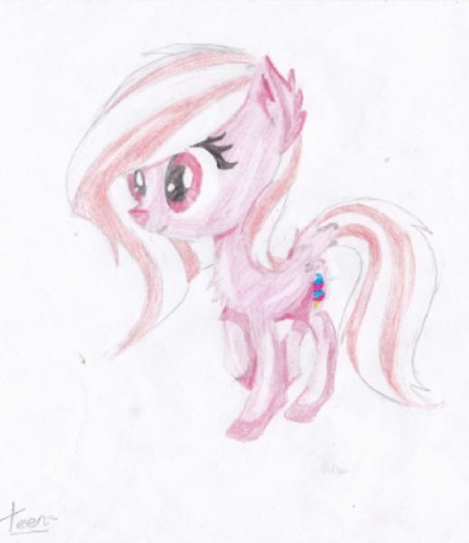 Фото Алиса Сорель