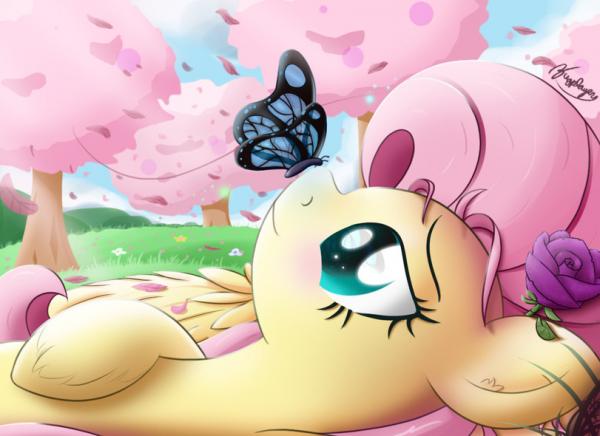 Фото ♥Fluttershay loves animals ♥ Фото ♥Fluttershay loves animals ♥