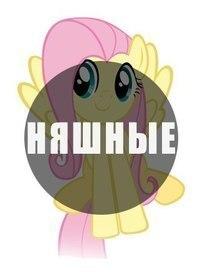 Фото Элина Любич