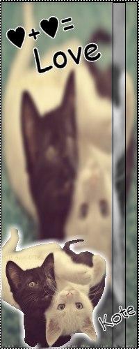 Фото Идущая по Следу.