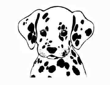 Фото Ксюша Дрёмова