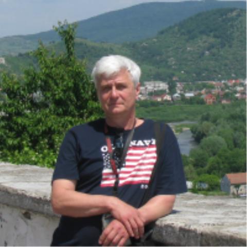 Фото Волк Бродяга