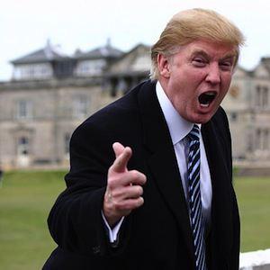 Фото Trump