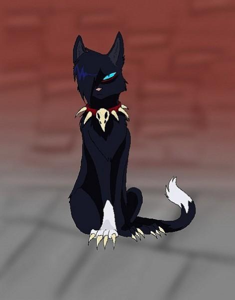 Фото Лиза Сыцянко