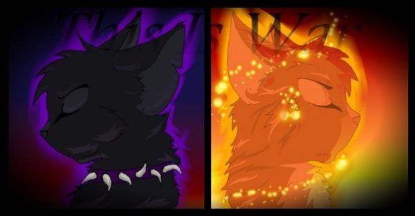 Фото Лиза Сыцянко