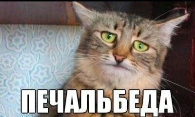 Фото злой_аимКО