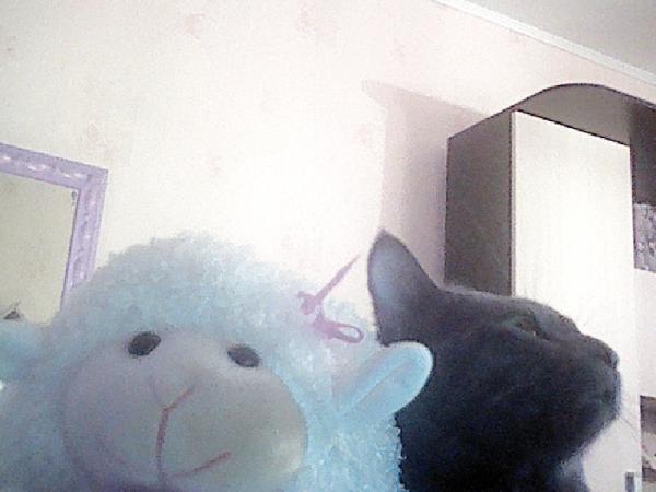 Фото Ангелина Котова