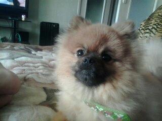 Фото Каролина Прямицына